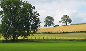 Norddeutsche Landschaft - Heidehof Hamburg Quickborn-Heide - Doppelhaush�lften von Pohl & Prym